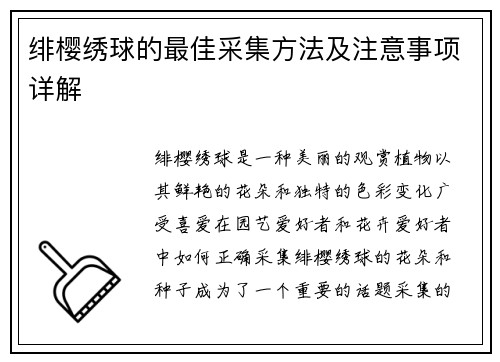 绯樱绣球的最佳采集方法及注意事项详解